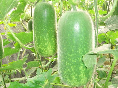 吃瓜联硕,揭秘娱乐圈背后的那些事儿