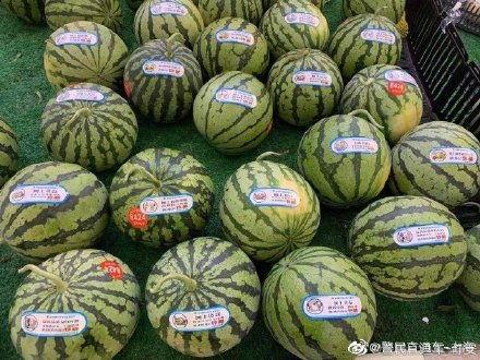 反对吃瓜的话,拒绝盲目跟风，守护理性思考