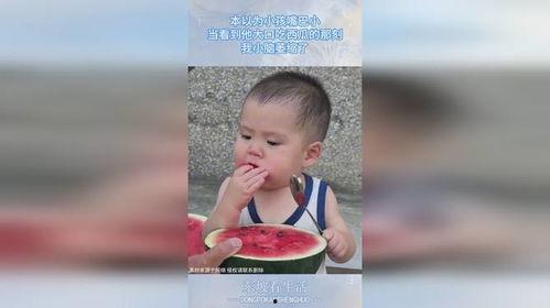 吃瓜的小baby,小Baby的吃瓜日常