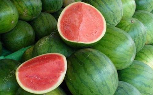 感冒发烧可以吃瓜,清凉瓜果助你恢复健康