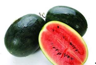 51吃黑瓜网站入口,畅享美食新体验