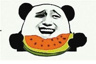 吃瓜反弹,揭秘网络舆论背后的真相与反思