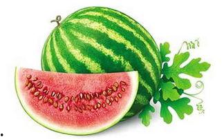 不能接受的吃瓜,揭秘那些令人无法容忍的吃瓜行为