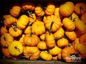 手雷瓜孕妇可以吃吗,安全与营养两不误