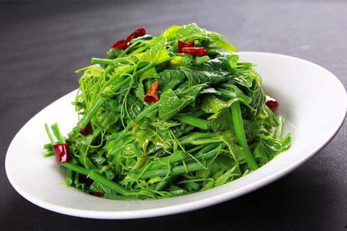 哪些地方吃瓜尖,瓜尖美食之旅