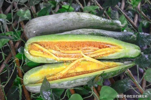 网红博雅吃瓜,揭秘网红圈幕后故事