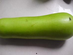 儿童吃葫芦瓜好吗,儿童营养佳品，健康成长的绿色伴侣