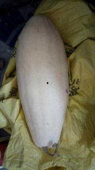 运城大白瓜怎么吃,解锁夏日清新美味