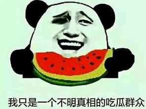 吃瓜群众禹建海,吃瓜群众的智慧与幽默