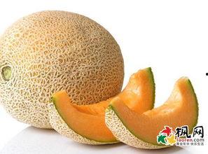 周公解梦见吃瓜,吃瓜背后的寓意与启示