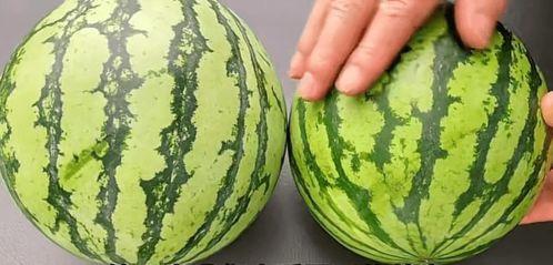 吃瓜的不急看瓜的急