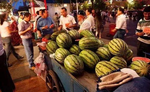 吃瓜乌鲁木齐,揭秘瓜果飘香的城市魅力