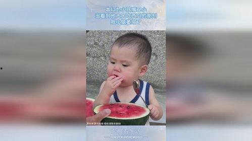 吃瓜的小baby,小Baby的吃瓜日常